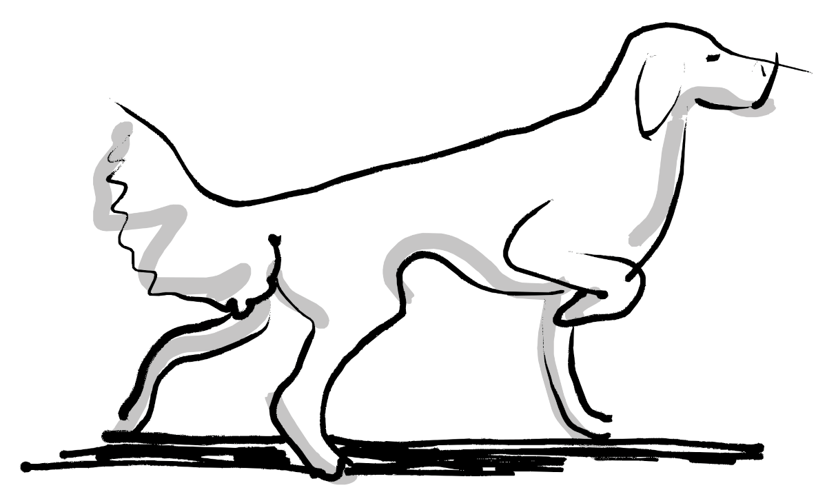 Tegnet illustrasjon som viser en fuglehund som tar stand.